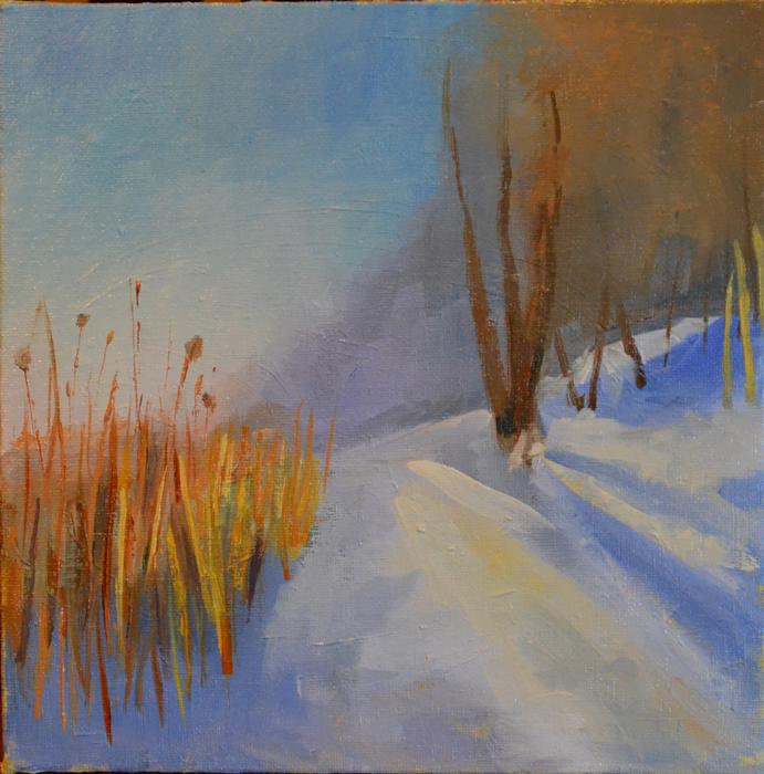 Snowy Trail