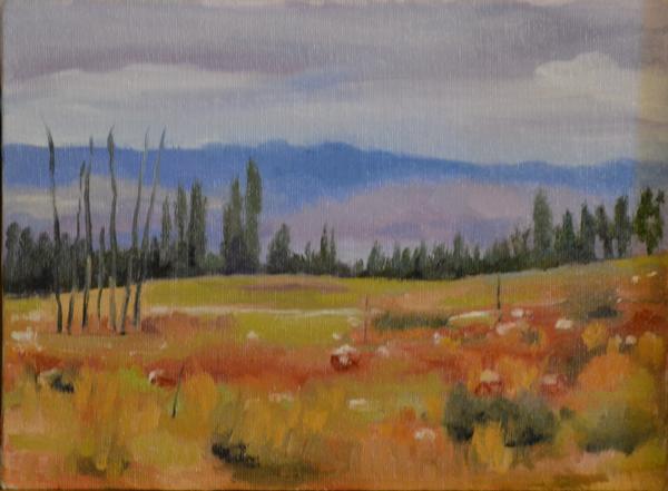 Montana Mountains